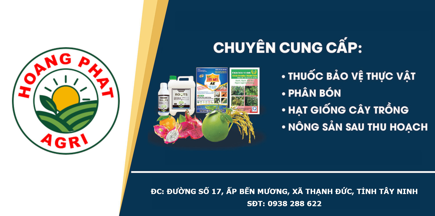 CÔNG TY TNHH TM HOÀNG PHÁT AGRI